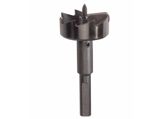 2-1/8 In. Self-Feed Drill Bit