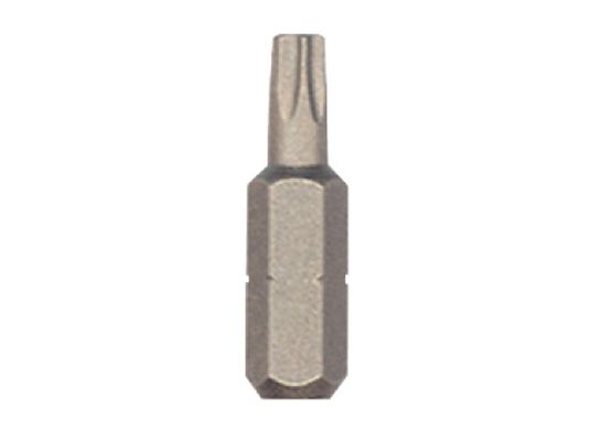 1 In. Torx® Insert Bit