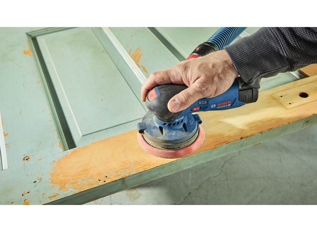 12V Max Brushless 5 In. Random Orbit Sander (Bare Tool)